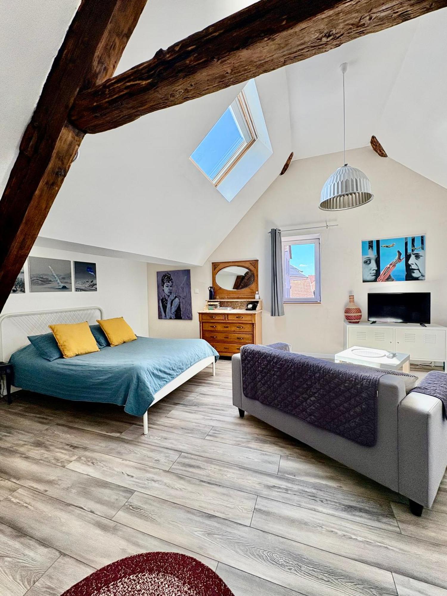 Apartament L'Ours De Colmar Bis Zewnętrze zdjęcie